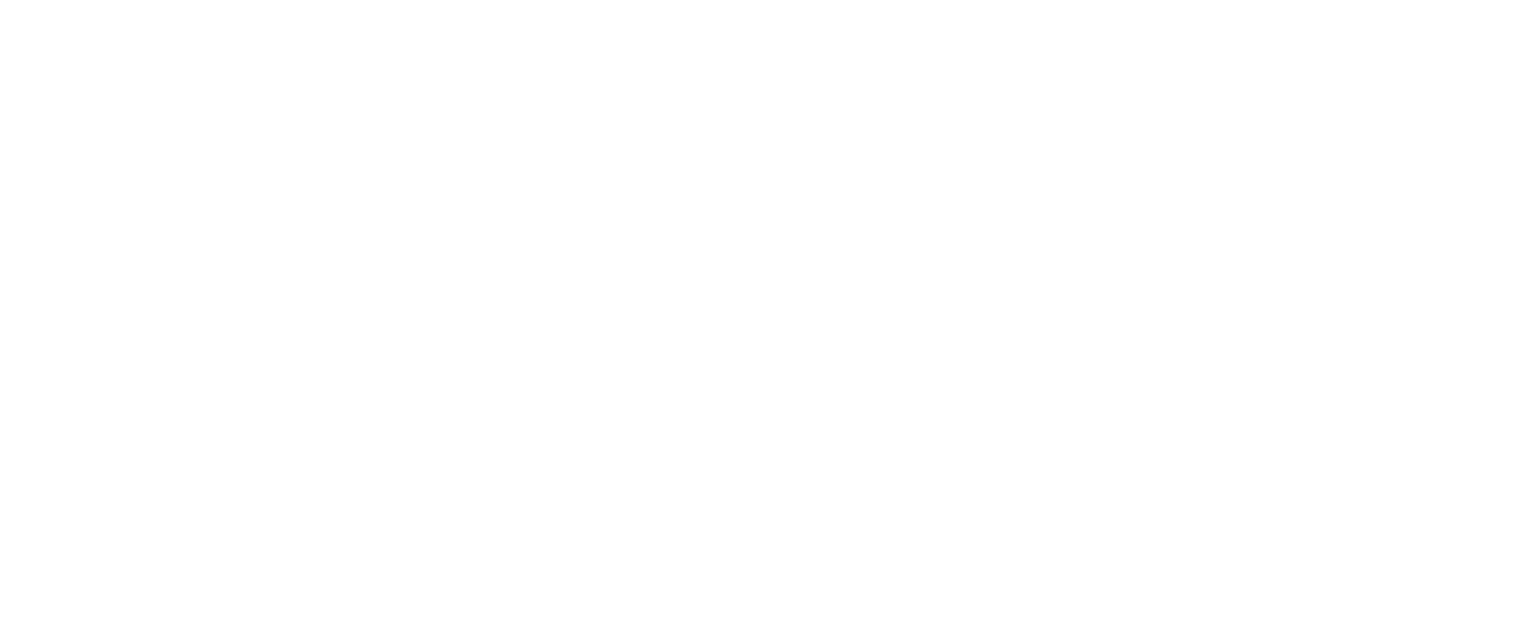 Budget Auto Insurance